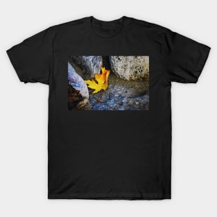 Homage to a leaf... T-Shirt